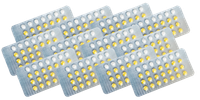 12シート